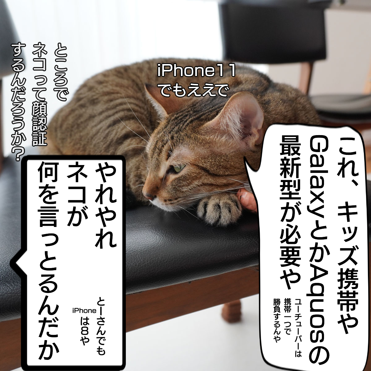 f:id:zutarou:20200207224954p:plain