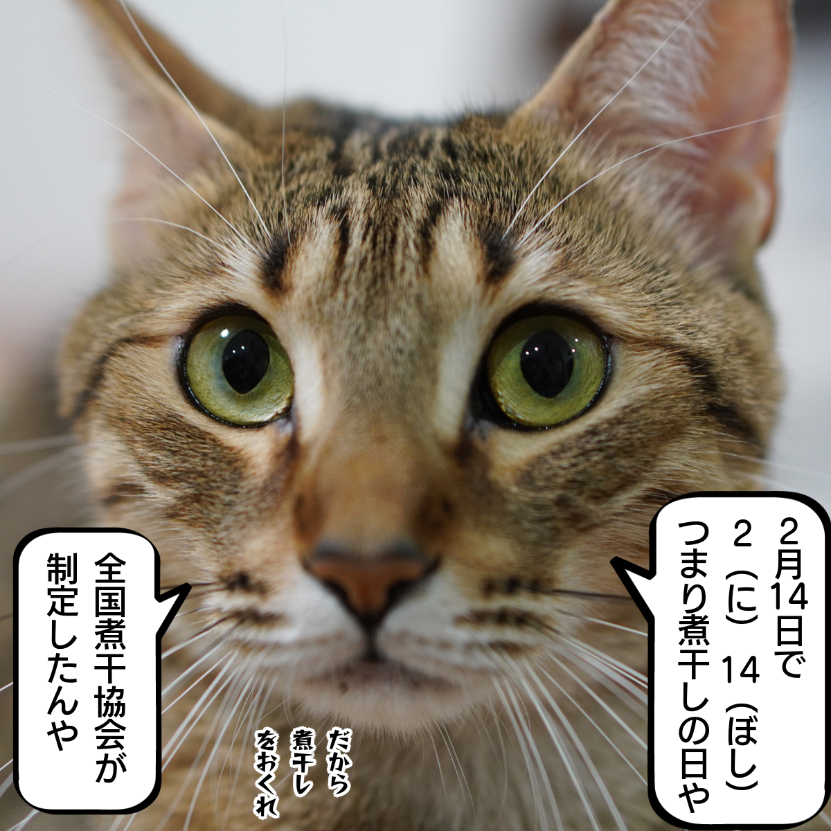 f:id:zutarou:20200214221155p:plain