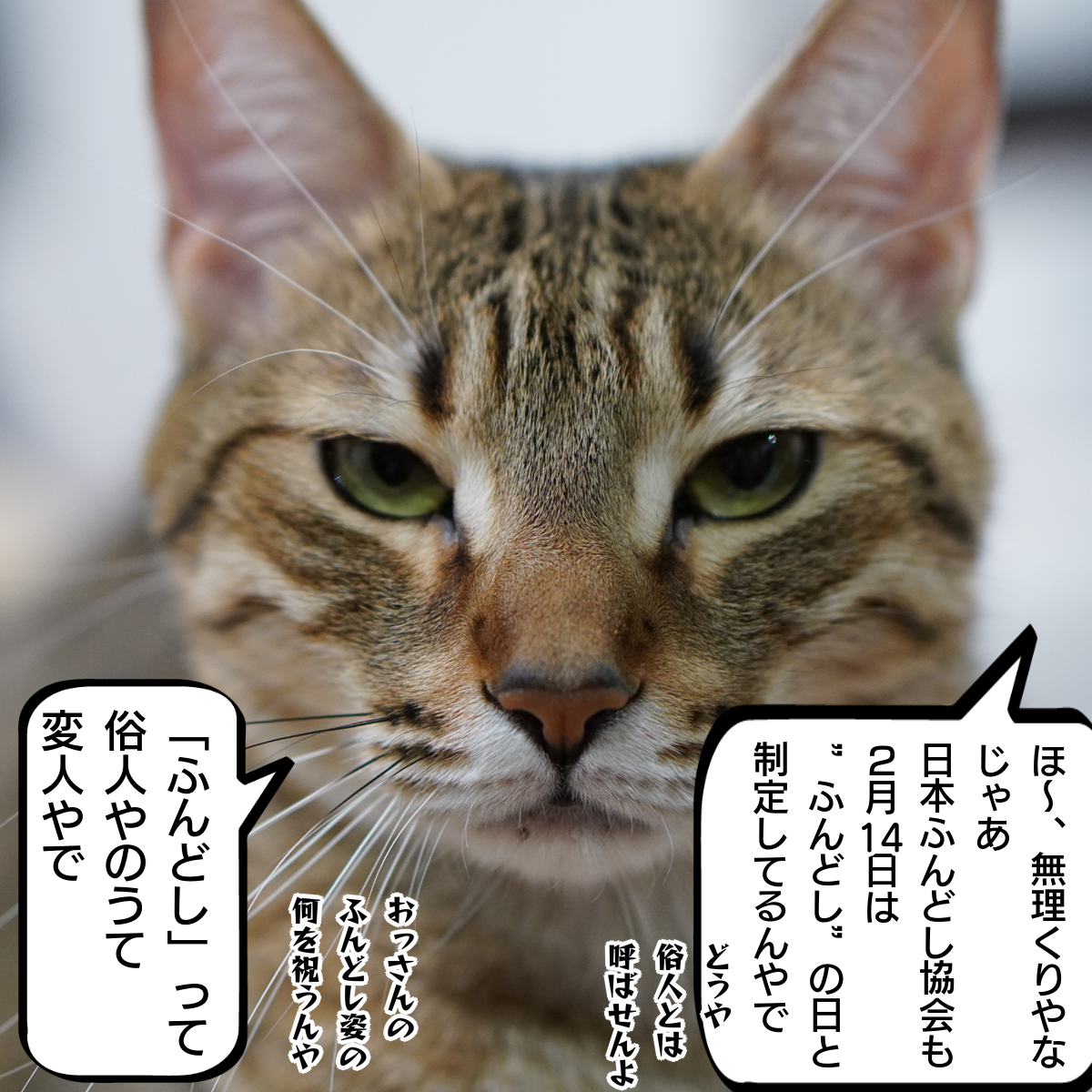 f:id:zutarou:20200214224242p:plain