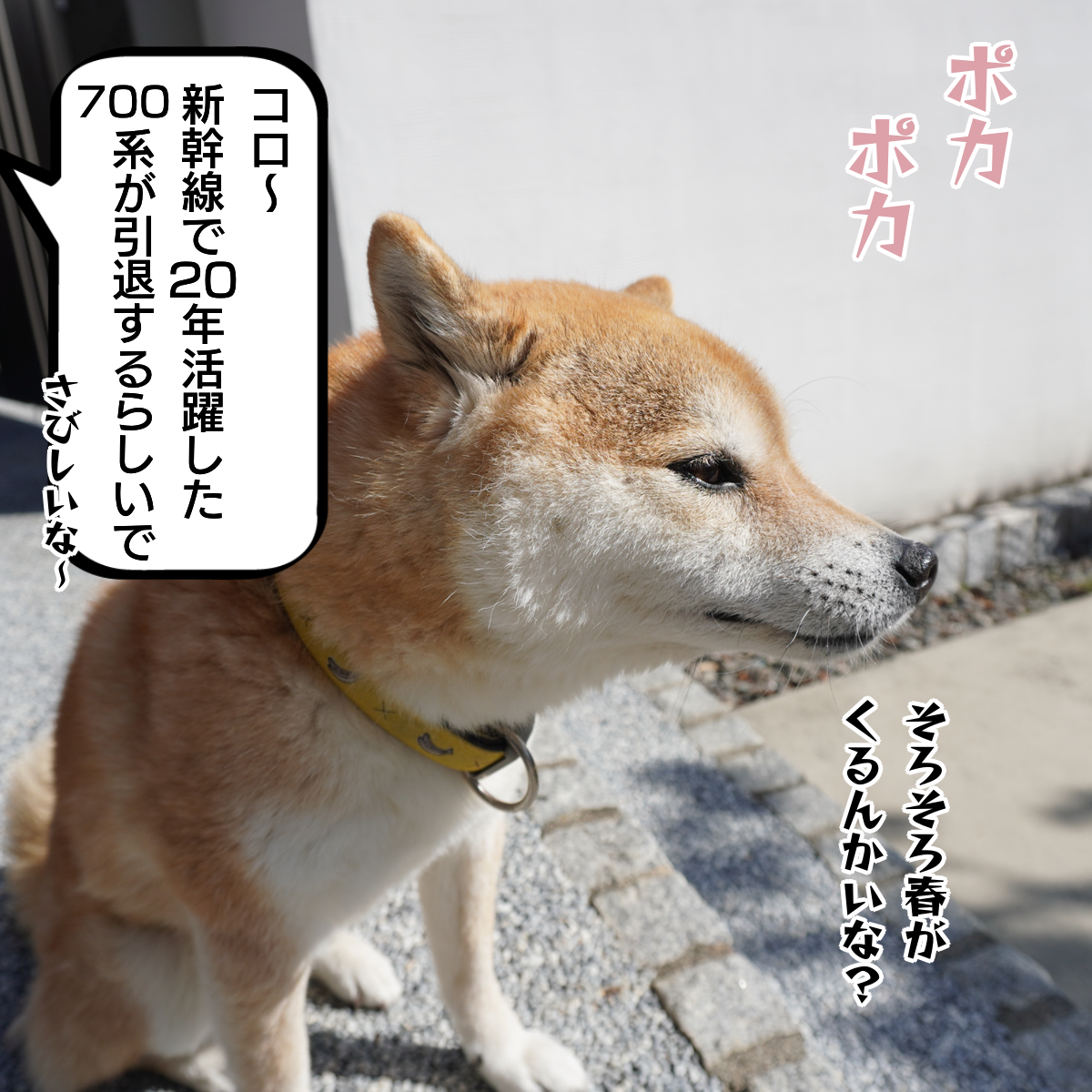 f:id:zutarou:20200215175843p:plain