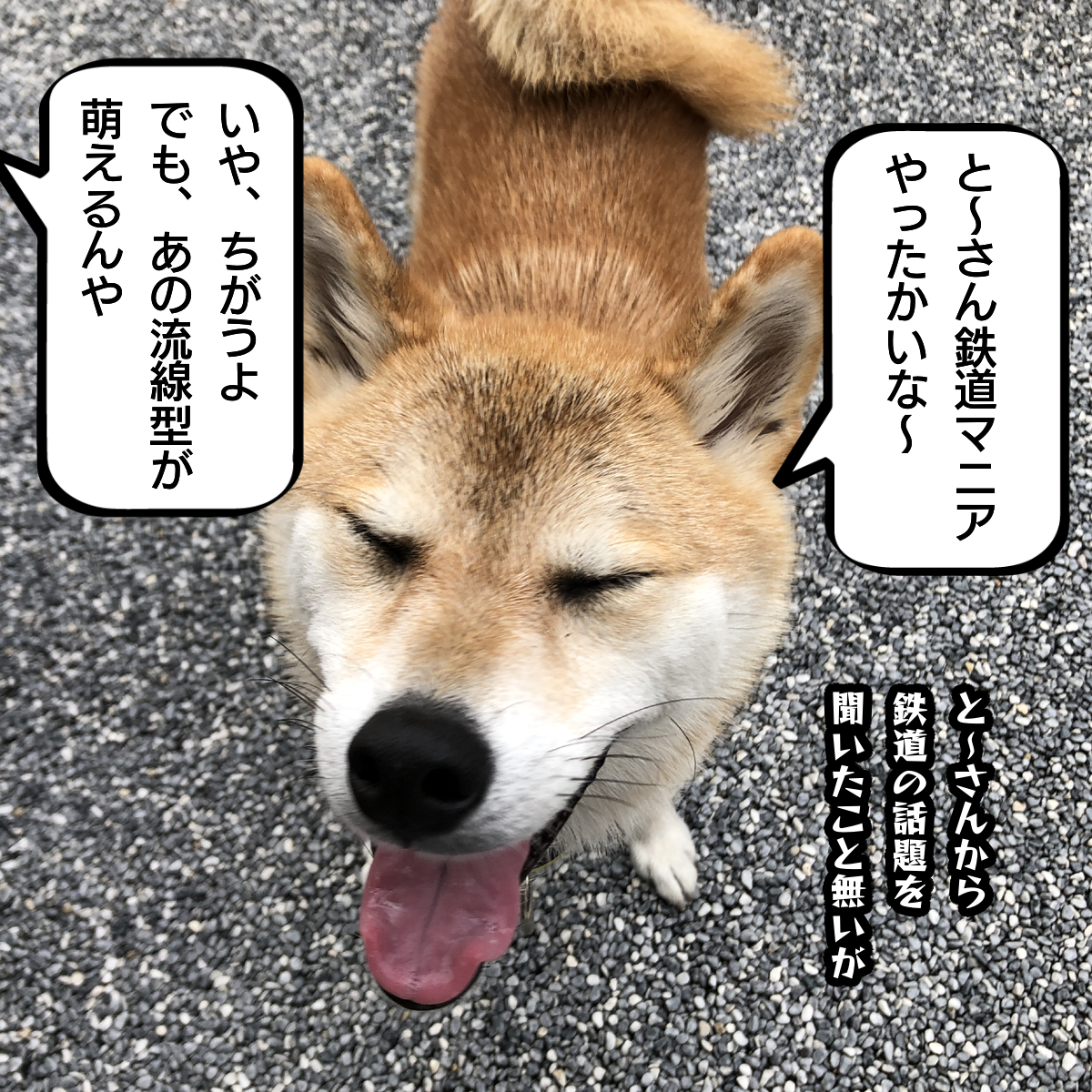 f:id:zutarou:20200215175901p:plain