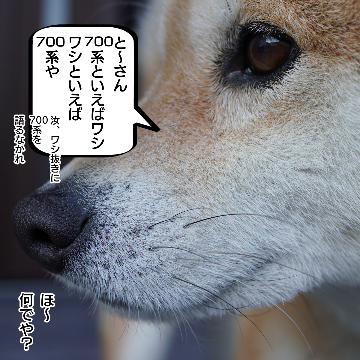 f:id:zutarou:20200215175917p:plain