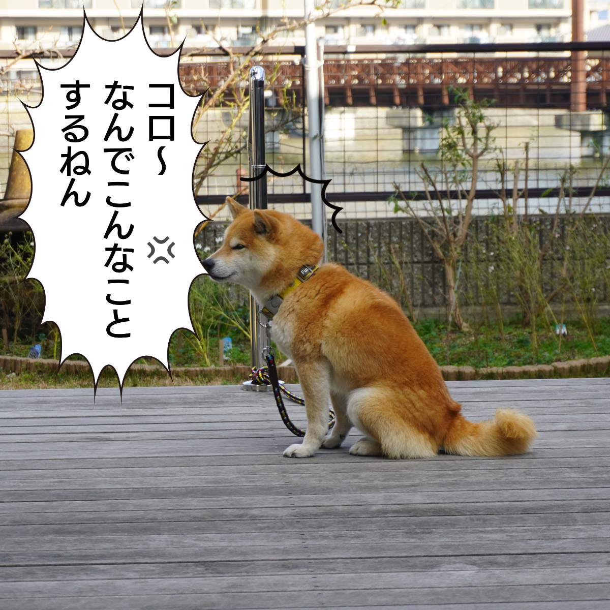 f:id:zutarou:20200216085953p:plain