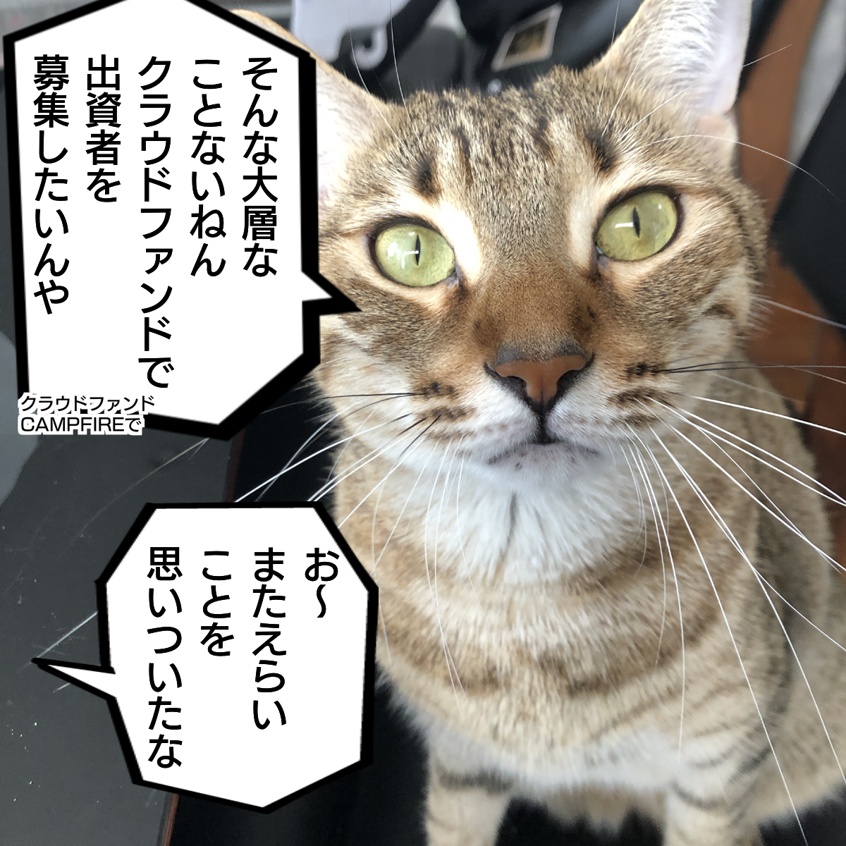 f:id:zutarou:20200219215627p:plain