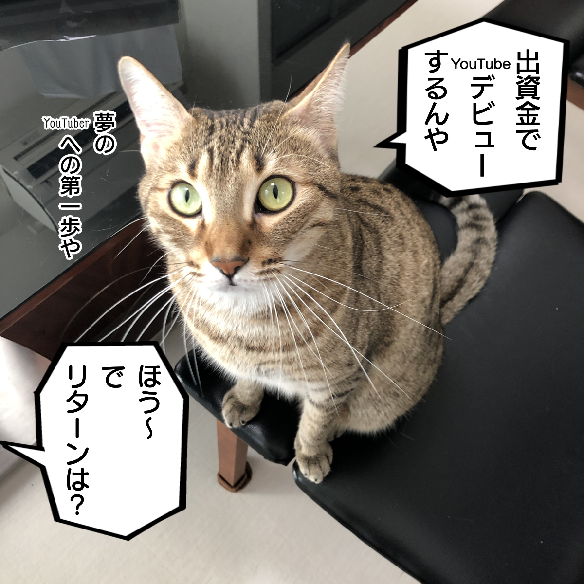 f:id:zutarou:20200219215641p:plain