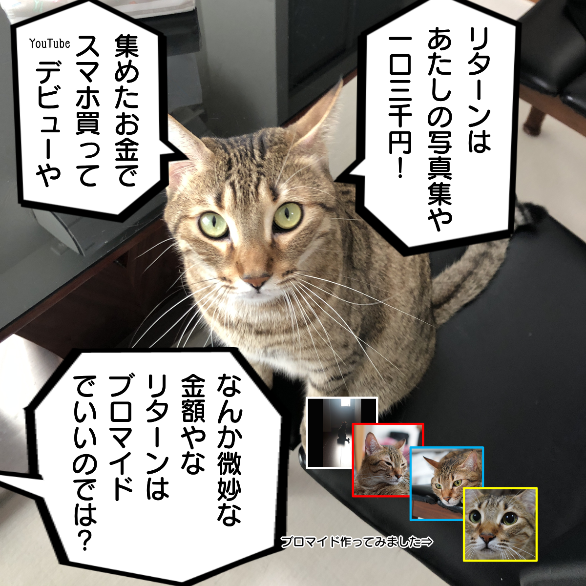 f:id:zutarou:20200219215655p:plain