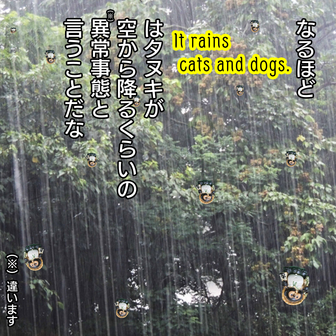 f:id:zutarou:20200226214418p:plain