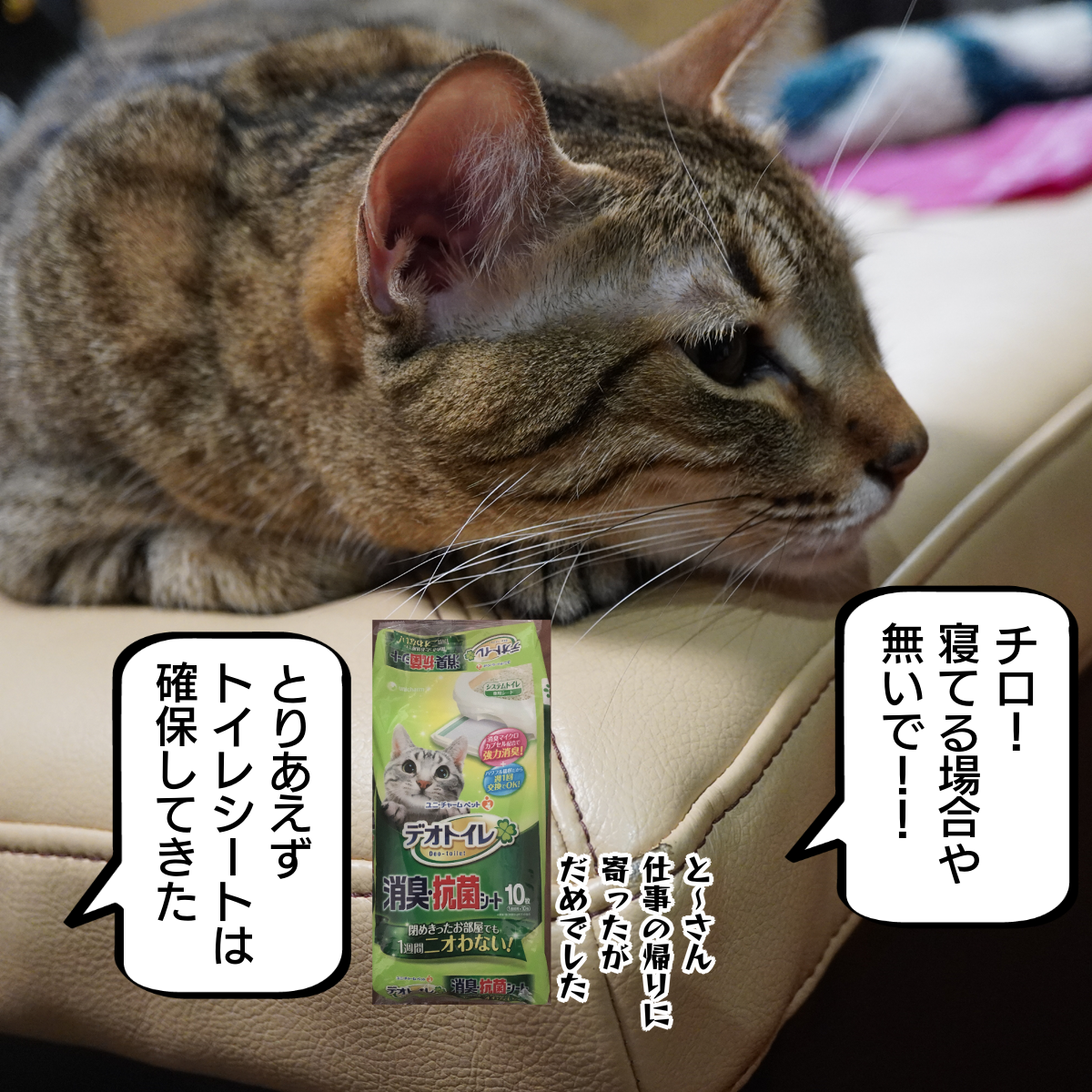 f:id:zutarou:20200228231800p:plain