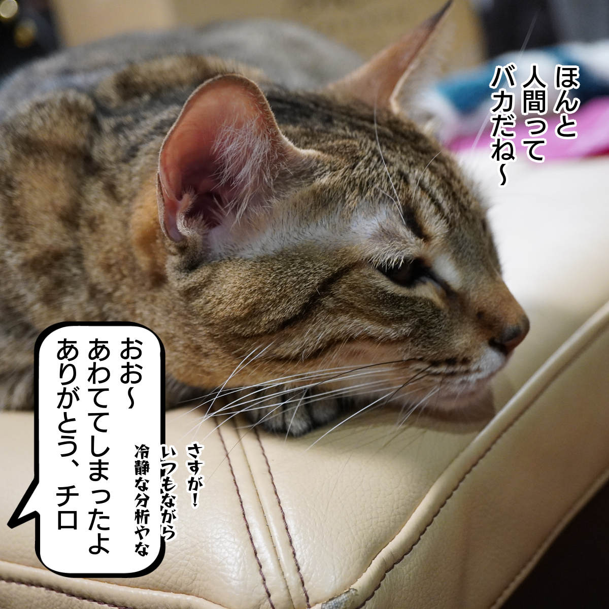 f:id:zutarou:20200229000211p:plain