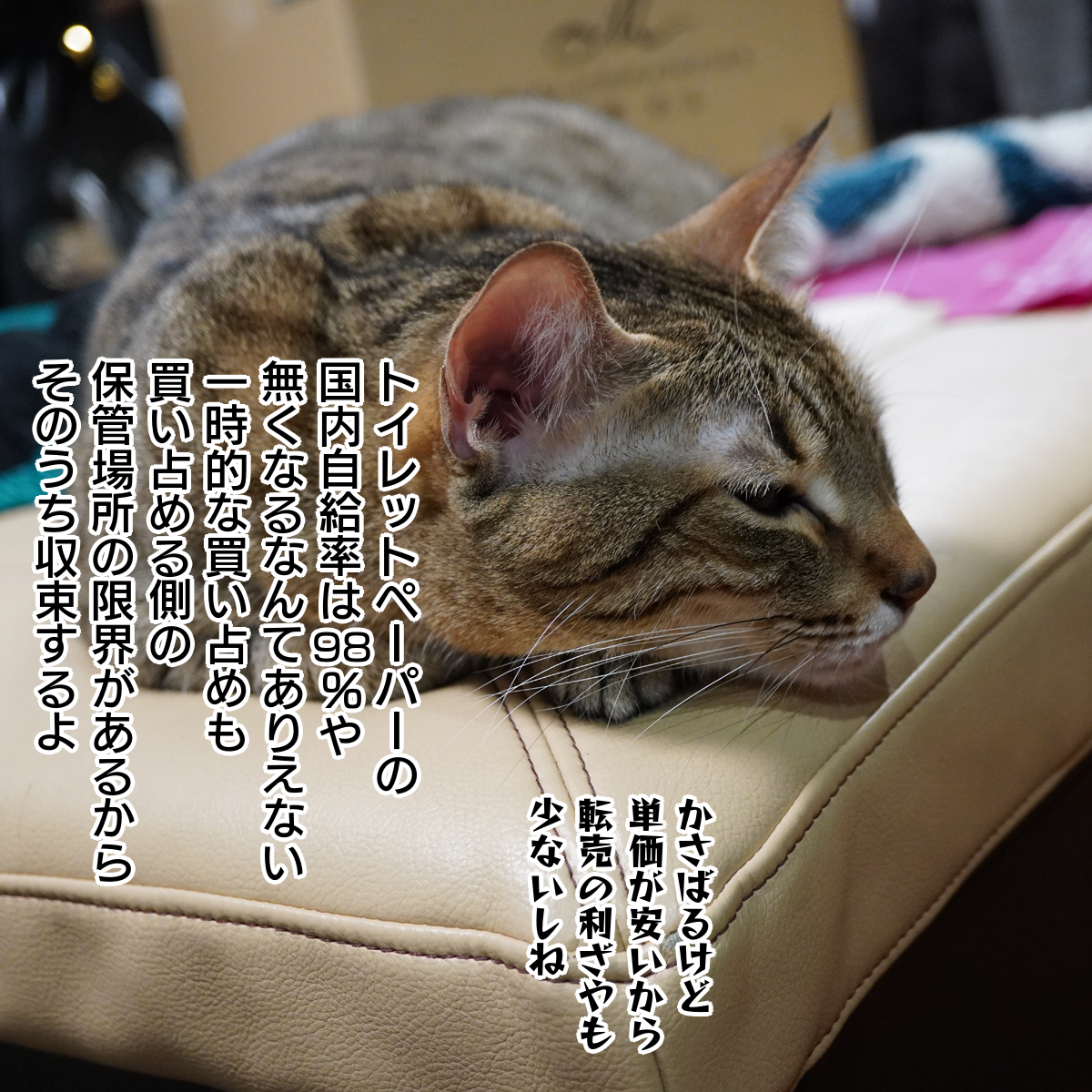 f:id:zutarou:20200229002354p:plain