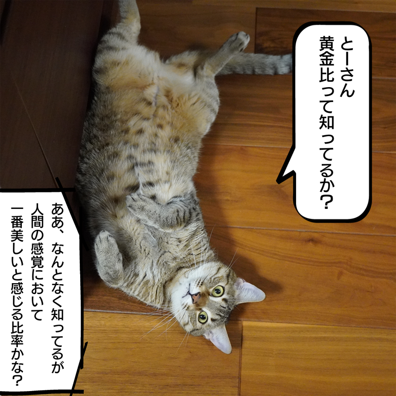 f:id:zutarou:20200304234236p:plain