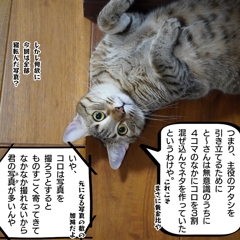 f:id:zutarou:20200305211149p:plain