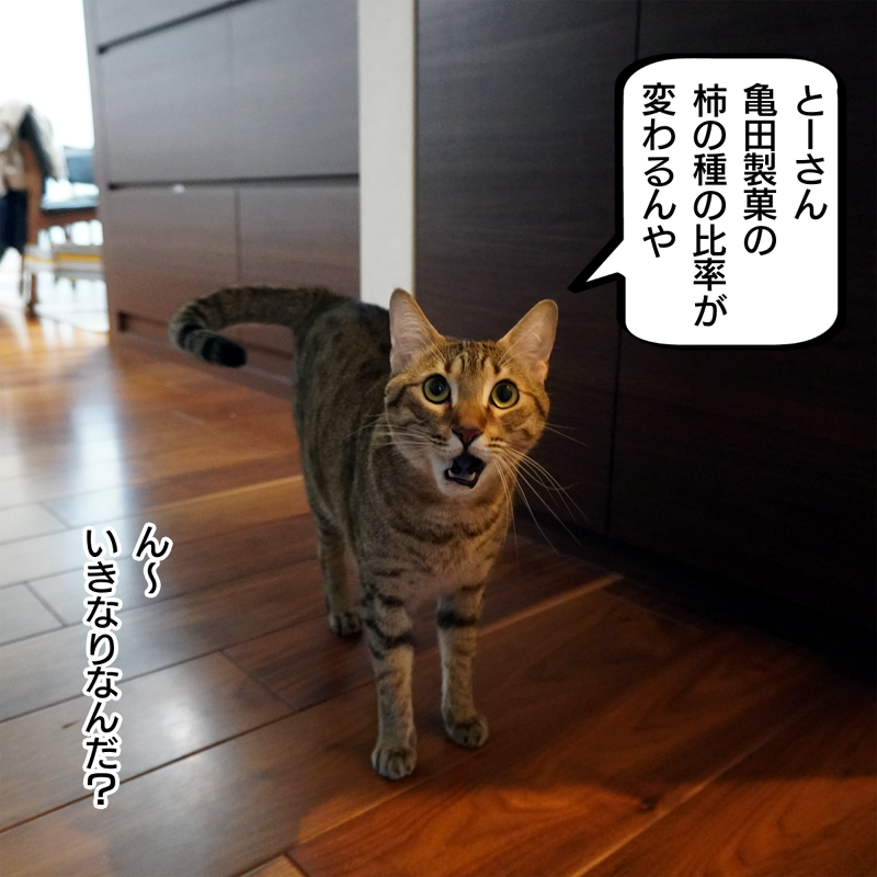 f:id:zutarou:20200306192411p:plain