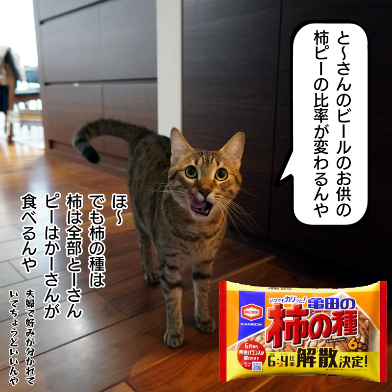 f:id:zutarou:20200306192427p:plain