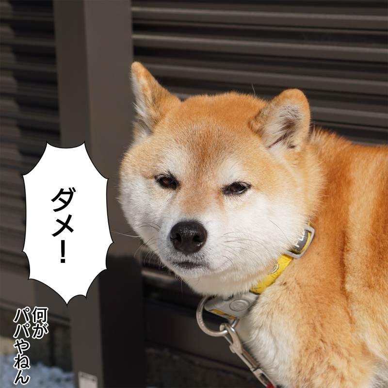 f:id:zutarou:20200307194752p:plain