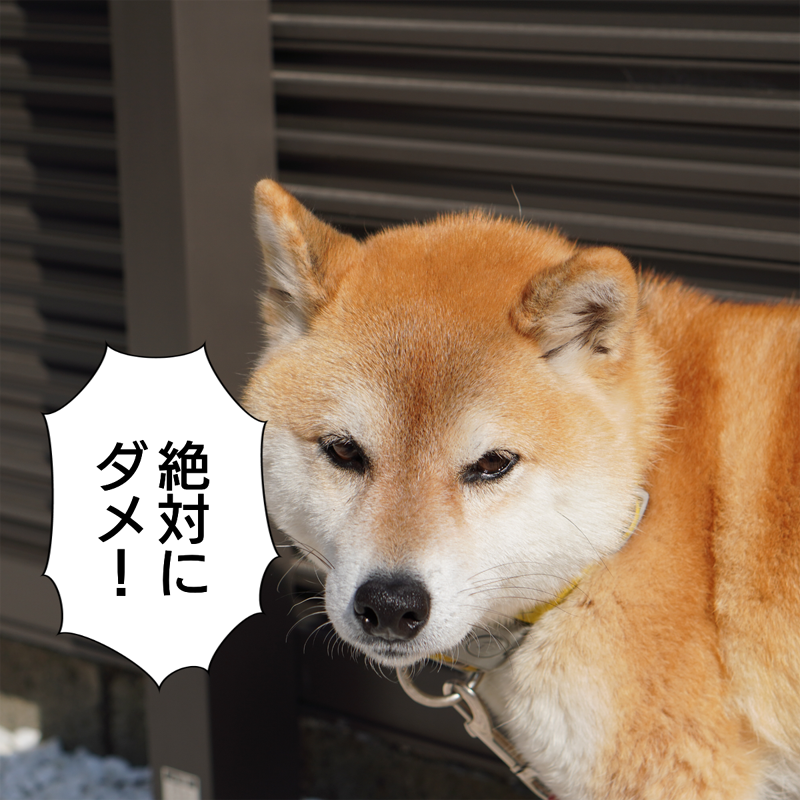 f:id:zutarou:20200307194804p:plain