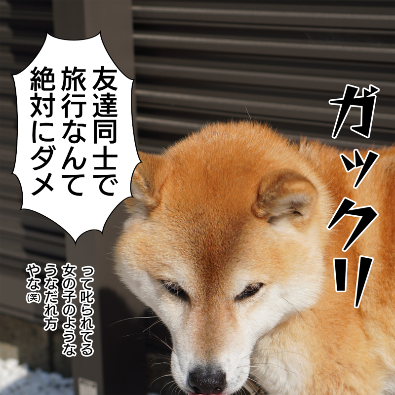 f:id:zutarou:20200307194819p:plain