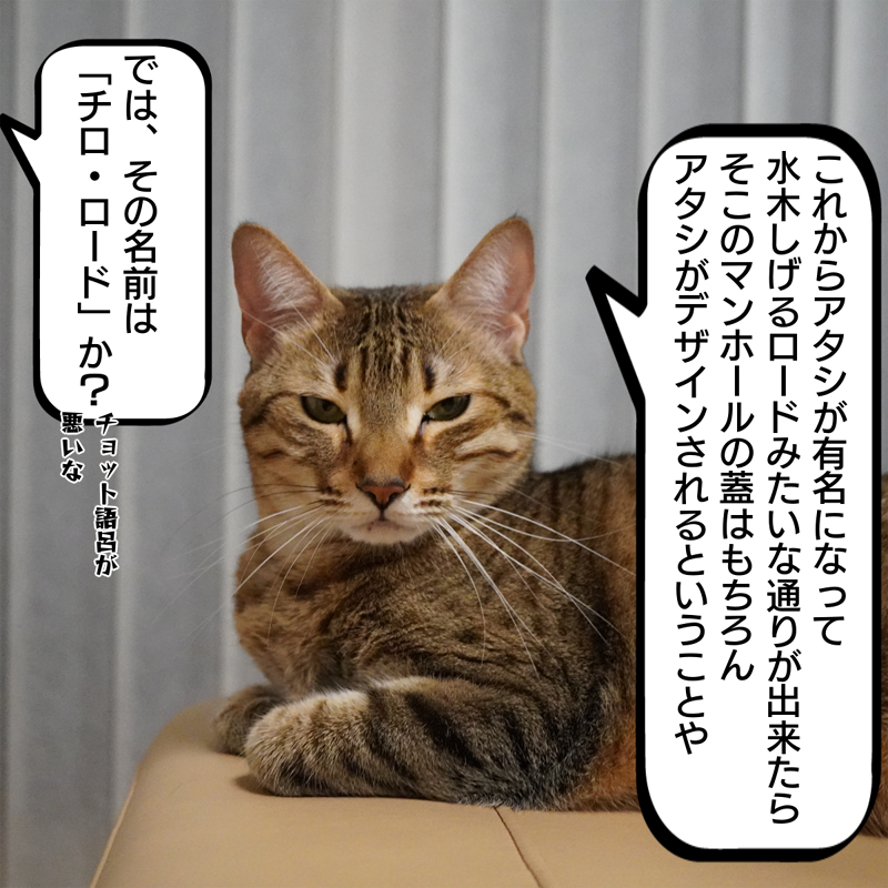 f:id:zutarou:20200308163911p:plain