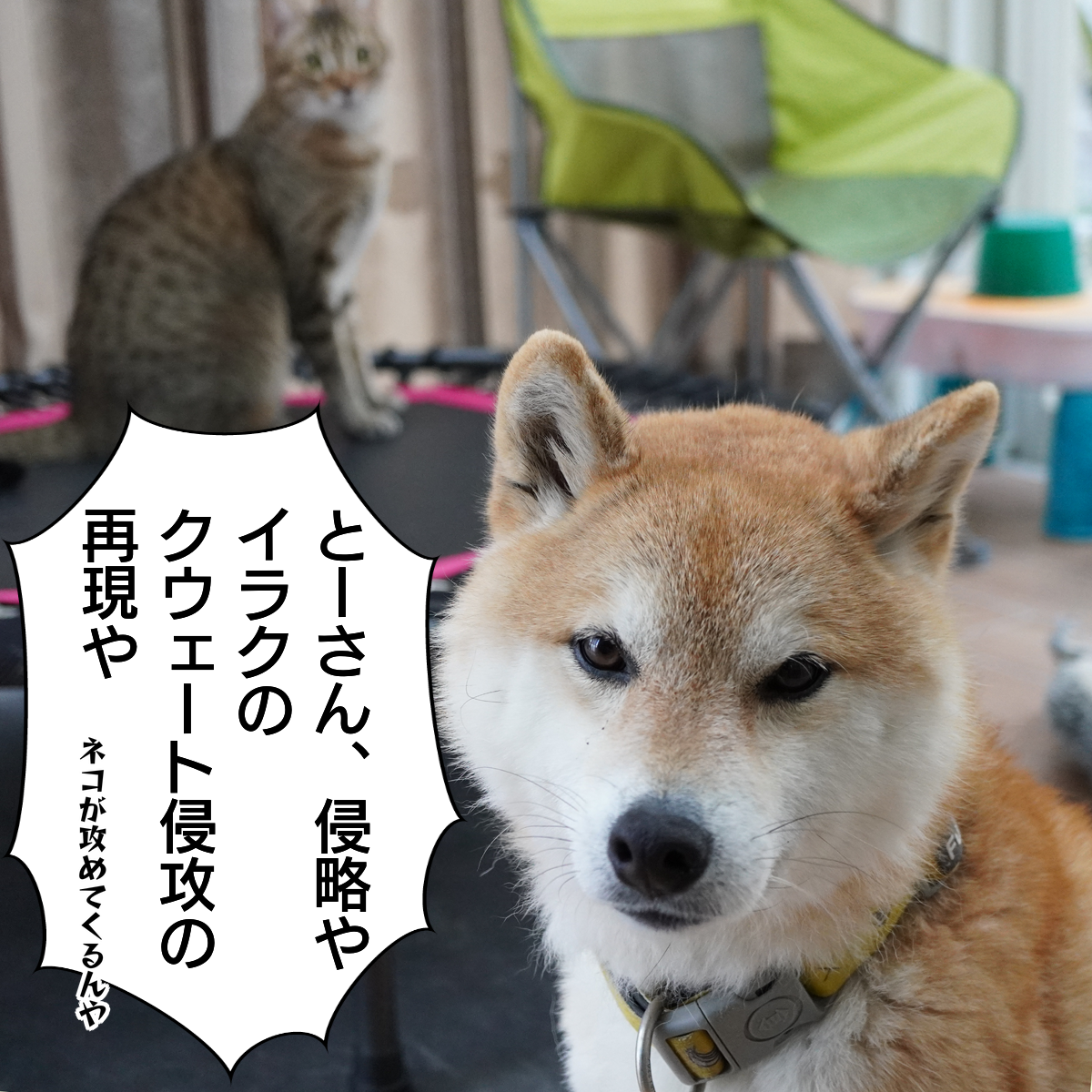 f:id:zutarou:20200309222322p:plain