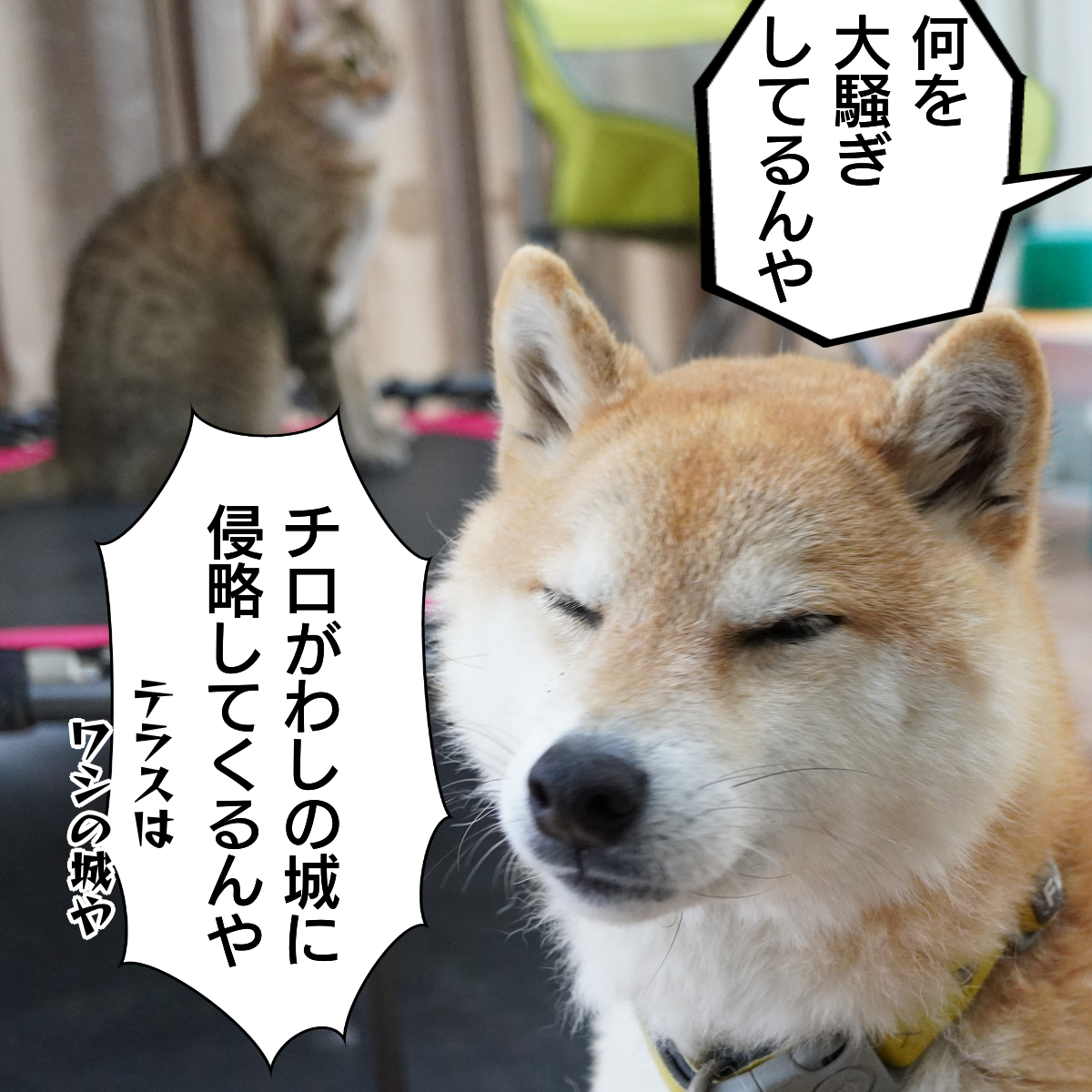 f:id:zutarou:20200309222340p:plain