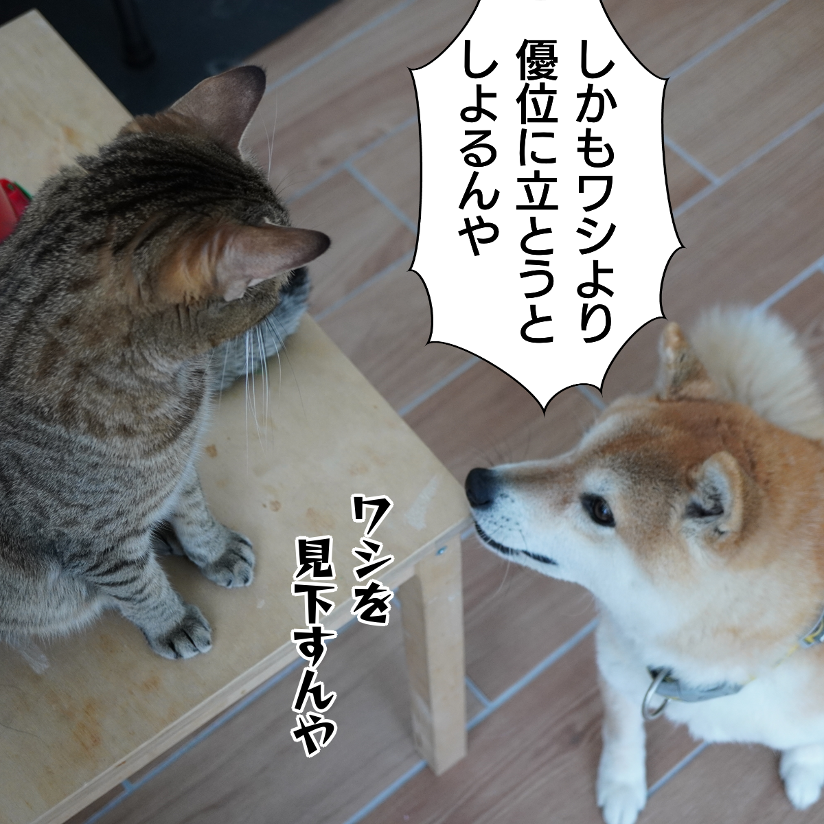 f:id:zutarou:20200309222404p:plain