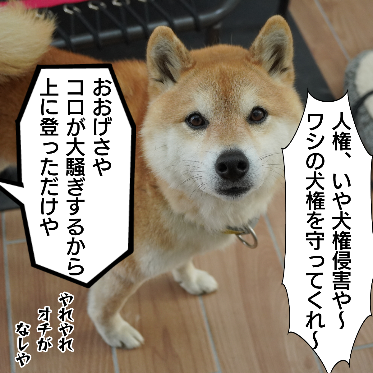 f:id:zutarou:20200309222702p:plain