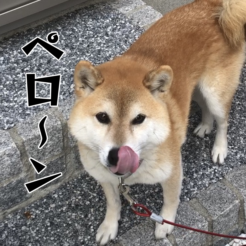 f:id:zutarou:20200311215151p:plain