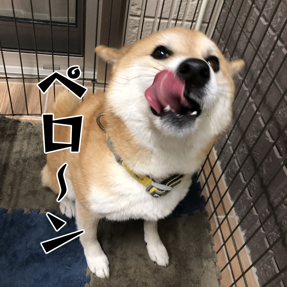 f:id:zutarou:20200311215206p:plain