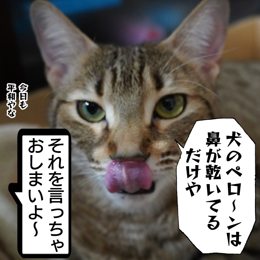 f:id:zutarou:20200311215233p:plain