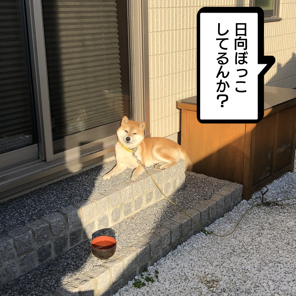 f:id:zutarou:20200311235425p:plain