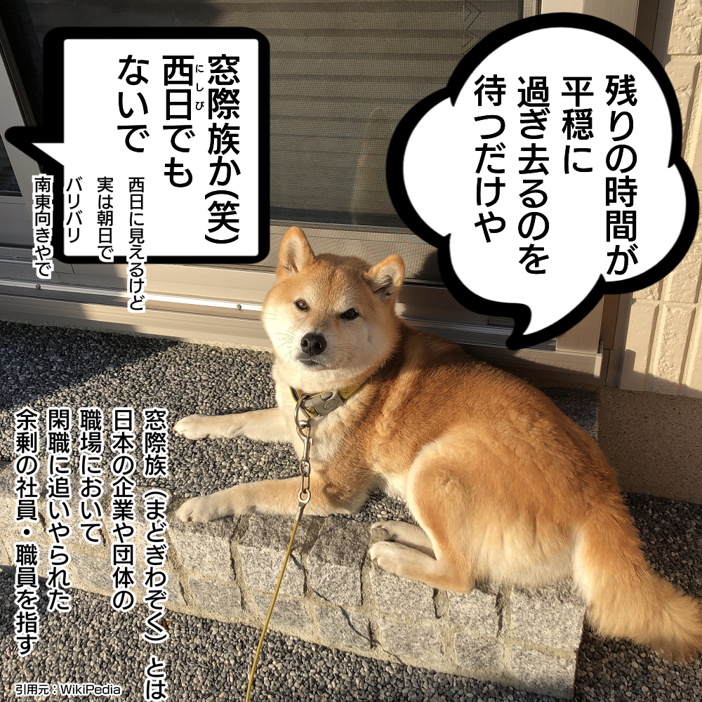 f:id:zutarou:20200311235450p:plain