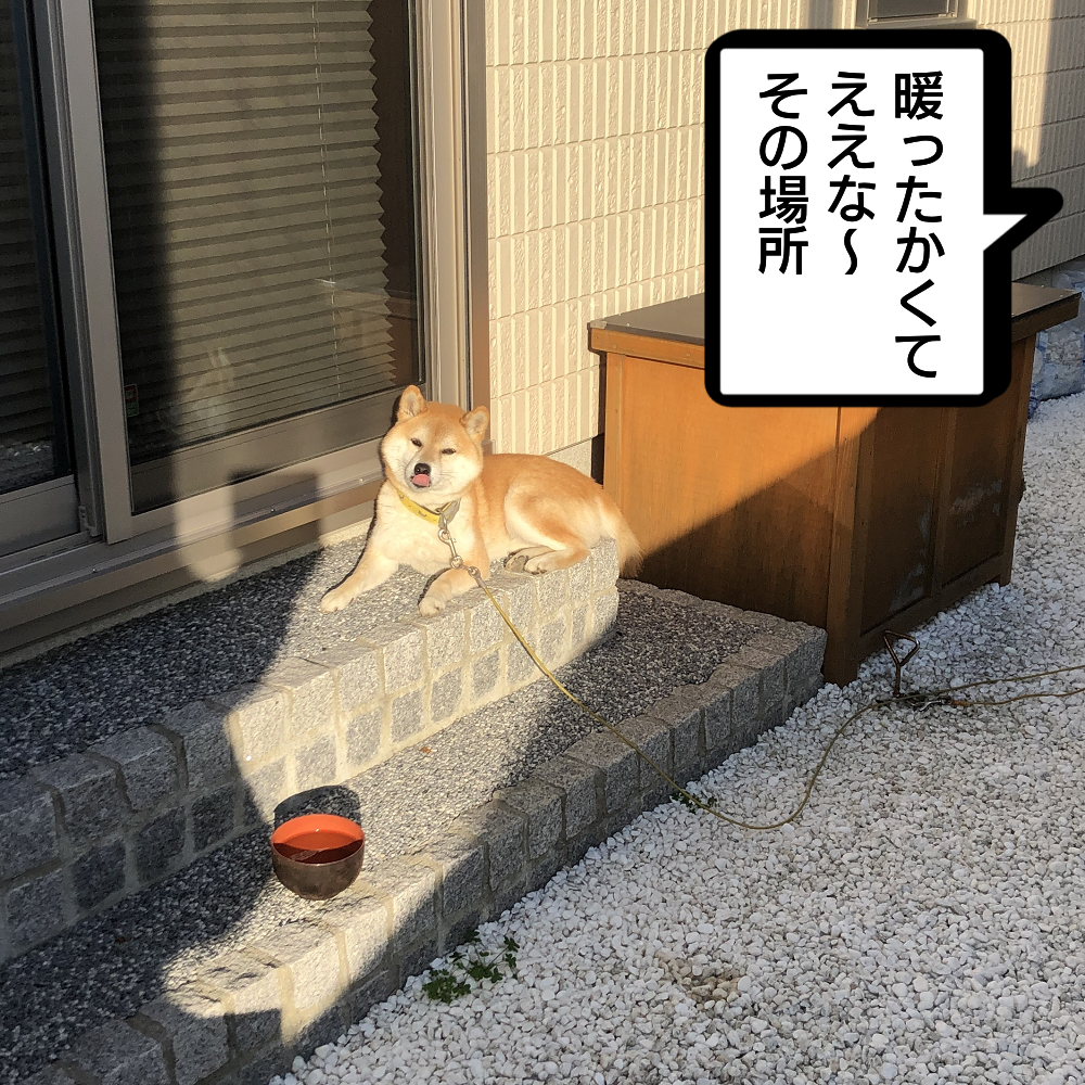 f:id:zutarou:20200312202632p:plain