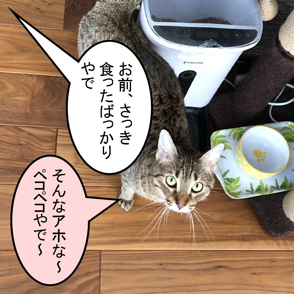 f:id:zutarou:20200315131812j:plain