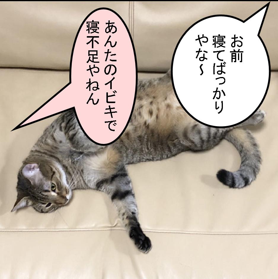 f:id:zutarou:20200315131821j:plain