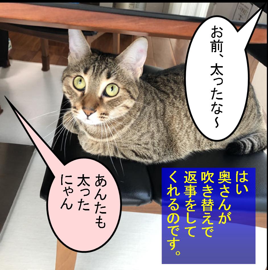 f:id:zutarou:20200315131831j:plain