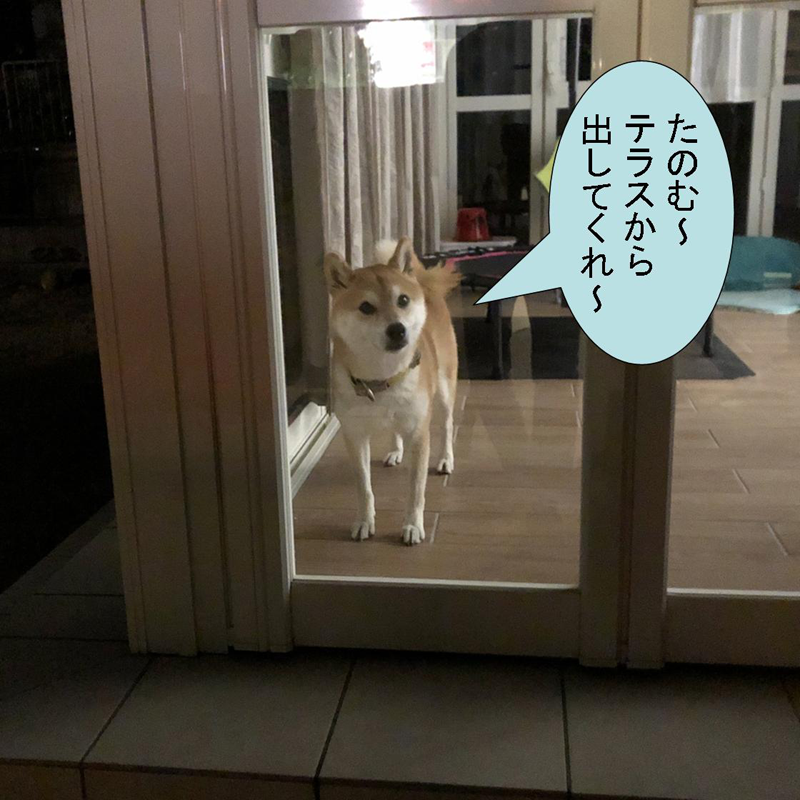 f:id:zutarou:20200315145009p:plain