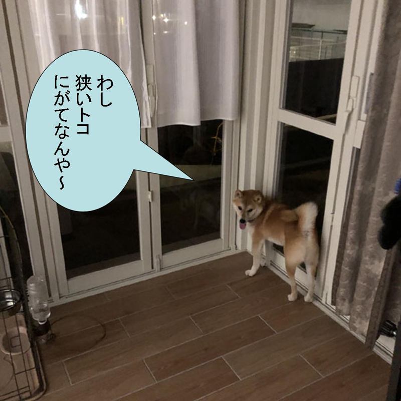 f:id:zutarou:20200315145023p:plain