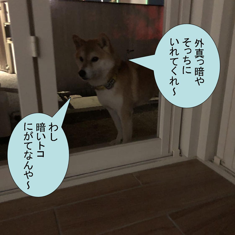 f:id:zutarou:20200315145037p:plain