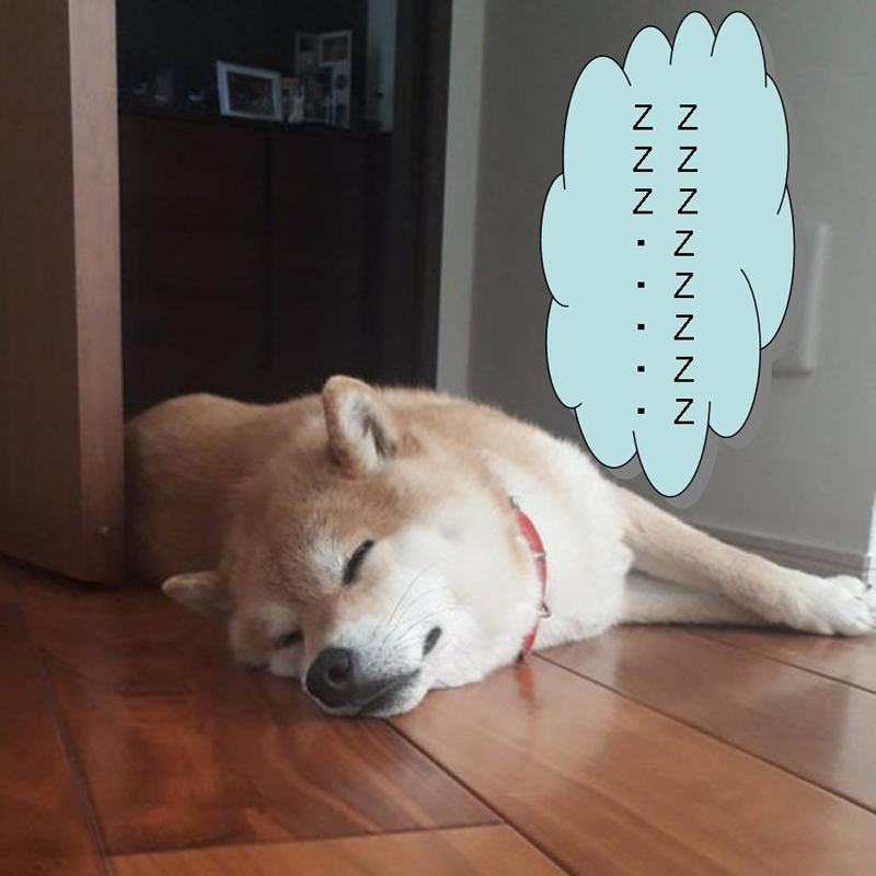 f:id:zutarou:20200315204008p:plain