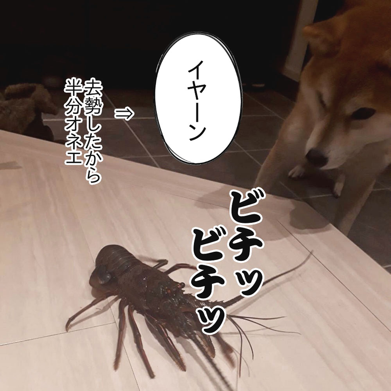 f:id:zutarou:20200315204455p:plain