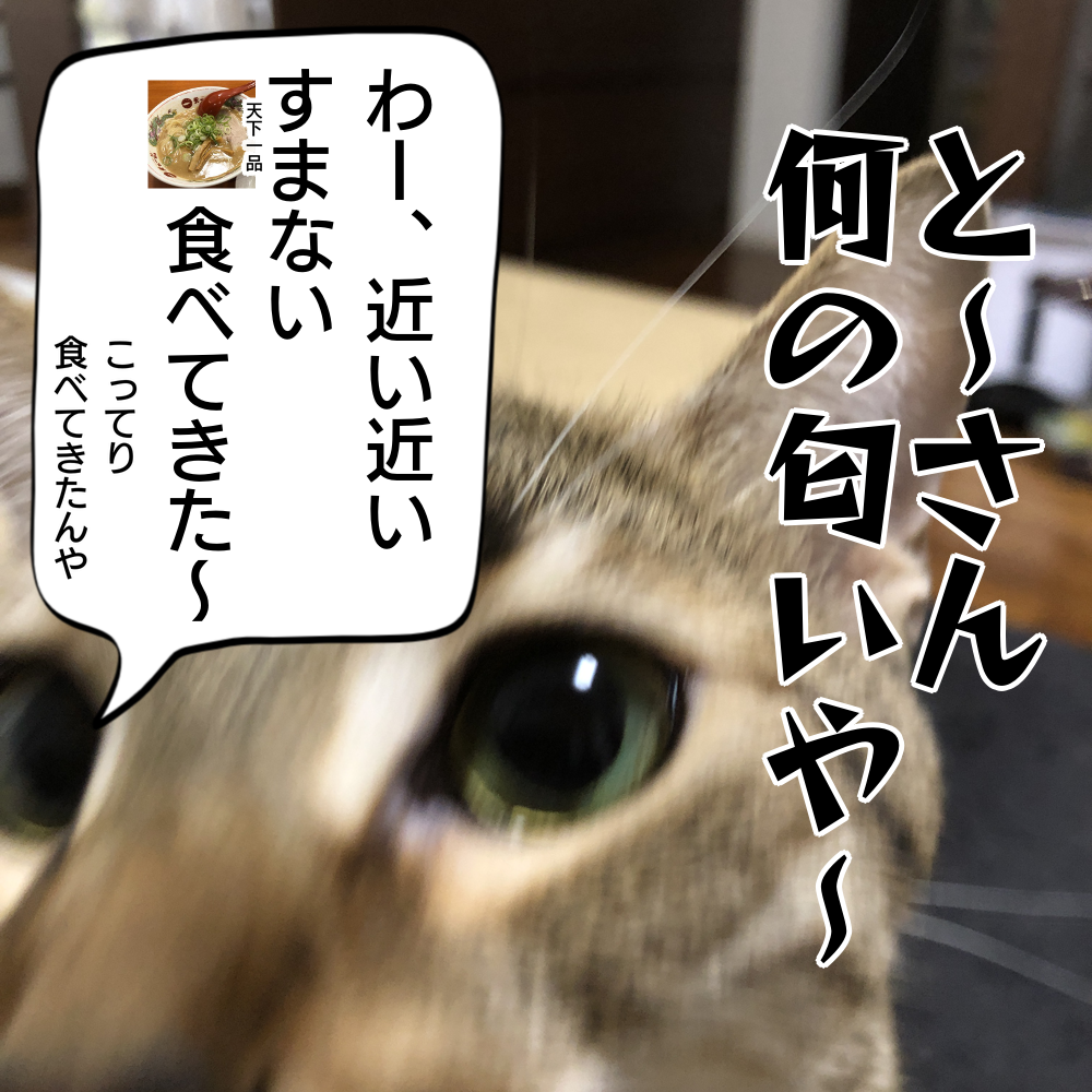 f:id:zutarou:20200315205352p:plain