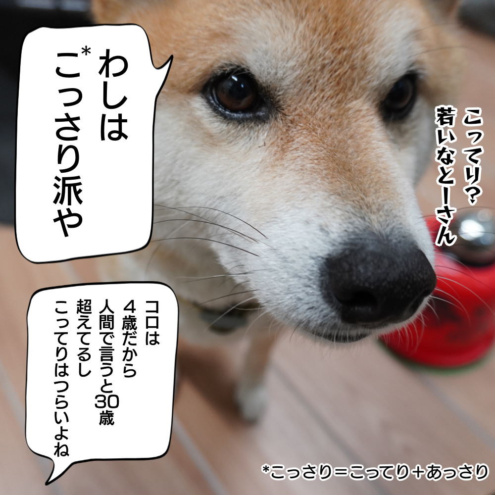 f:id:zutarou:20200315205404p:plain