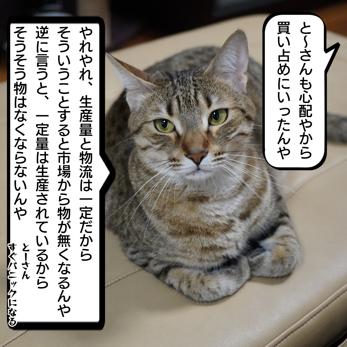 f:id:zutarou:20200326235657p:plain