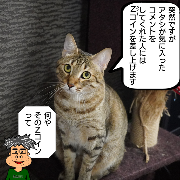 f:id:zutarou:20200516164628p:plain