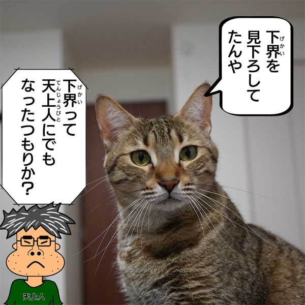 f:id:zutarou:20200519232319p:plain