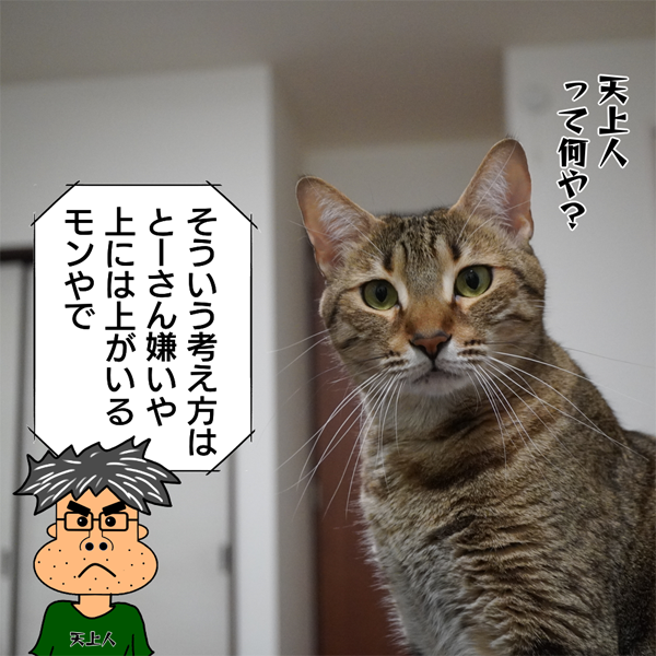 f:id:zutarou:20200519232332p:plain