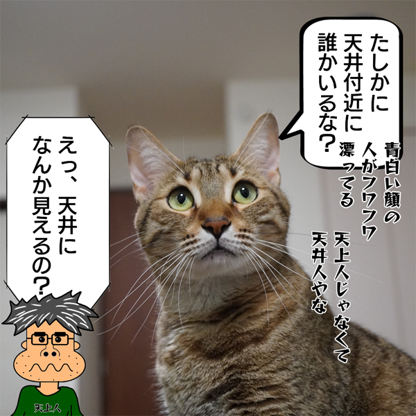 f:id:zutarou:20200519232343p:plain