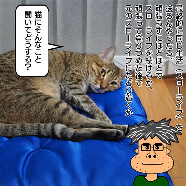 f:id:zutarou:20200813002620j:plain