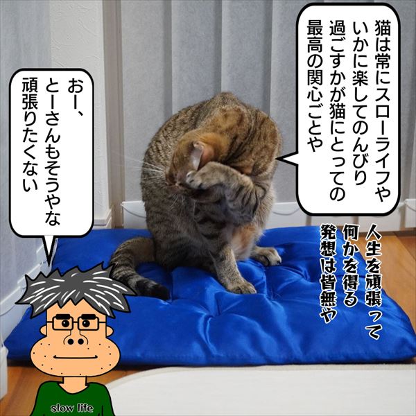 f:id:zutarou:20200813002628j:plain