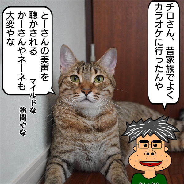 f:id:zutarou:20200930224729p:plain